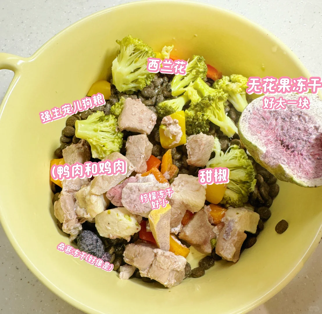 6个月的阿呜 一顿吃什么？