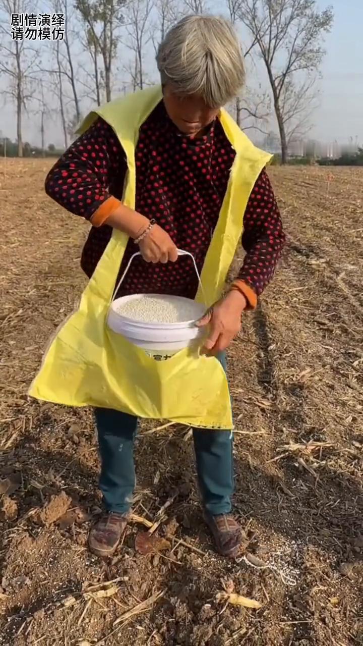 大婶巧妙把撒肥料桶放塑料袋里，这一幕真的太有才了。
大婶准备给地里撒肥料，由于一