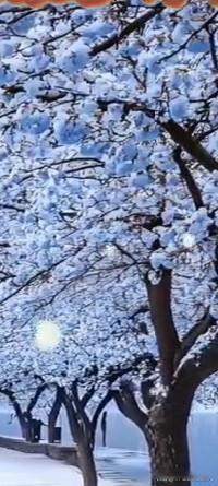 时逢小雪，天气变冷多加衣裳小感冒。