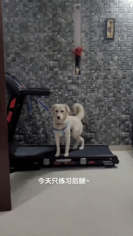 还以为哪个程序员写的代码呢 我的精神状态凉好 ​​​
