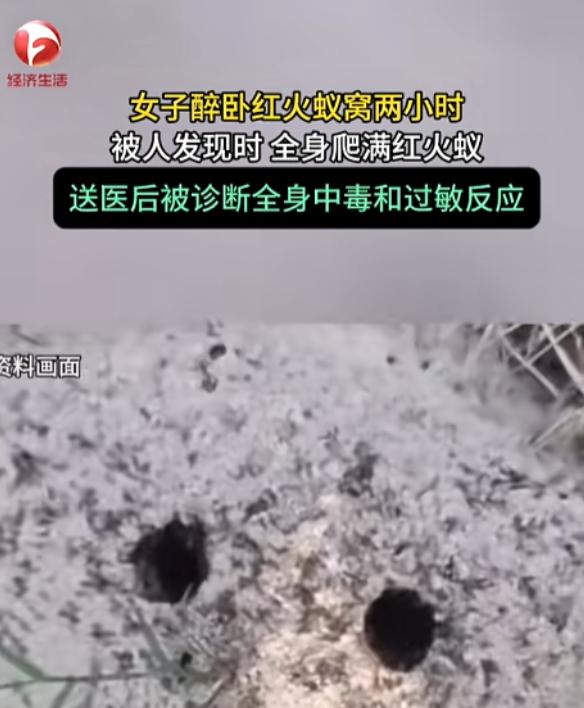 “醉酒女子被红火蚁捡尸！”7月15日报道，福建泉州，一女子喝醉了酒，直接醉倒在了