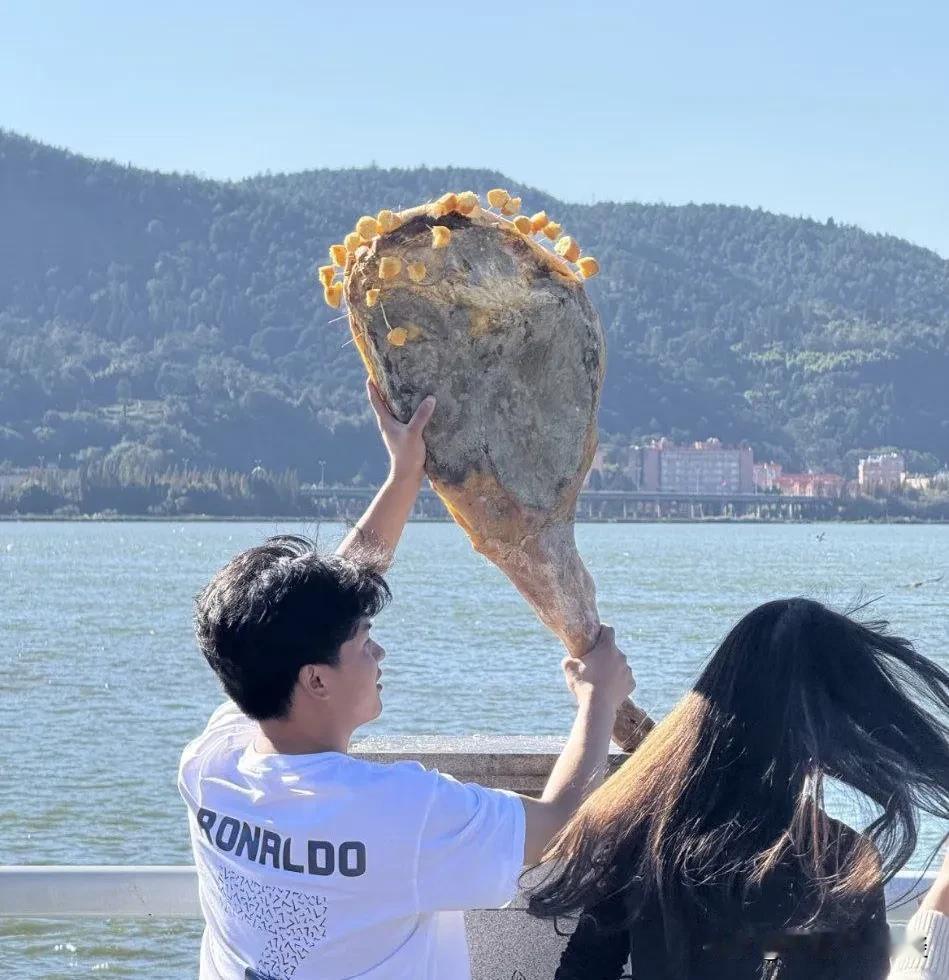 海边喂鸟，伙食真好！
海鸥好肉呀 喂海鸥。 岛上看海鸟 海边的孔雀。 被鸟儿吃光