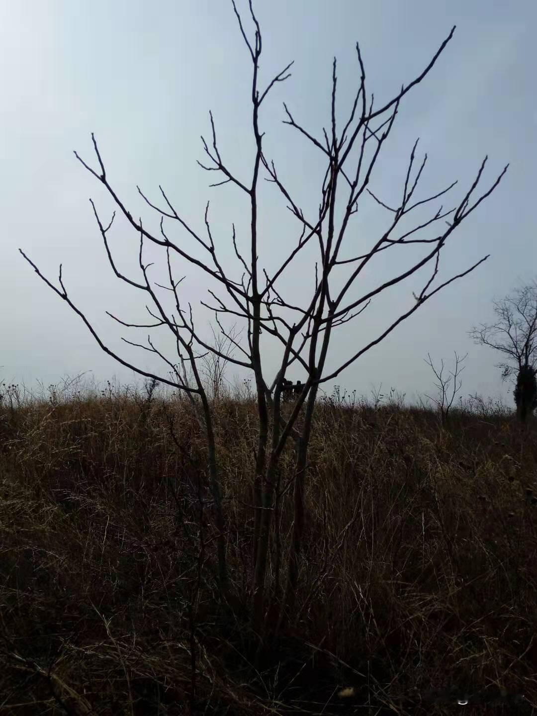 晒图笔记大赛