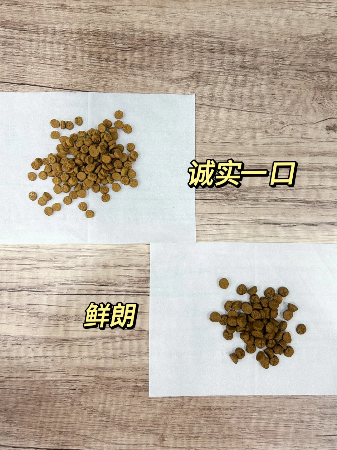 养猫4年选粮心得｜热门烘焙猫粮推荐