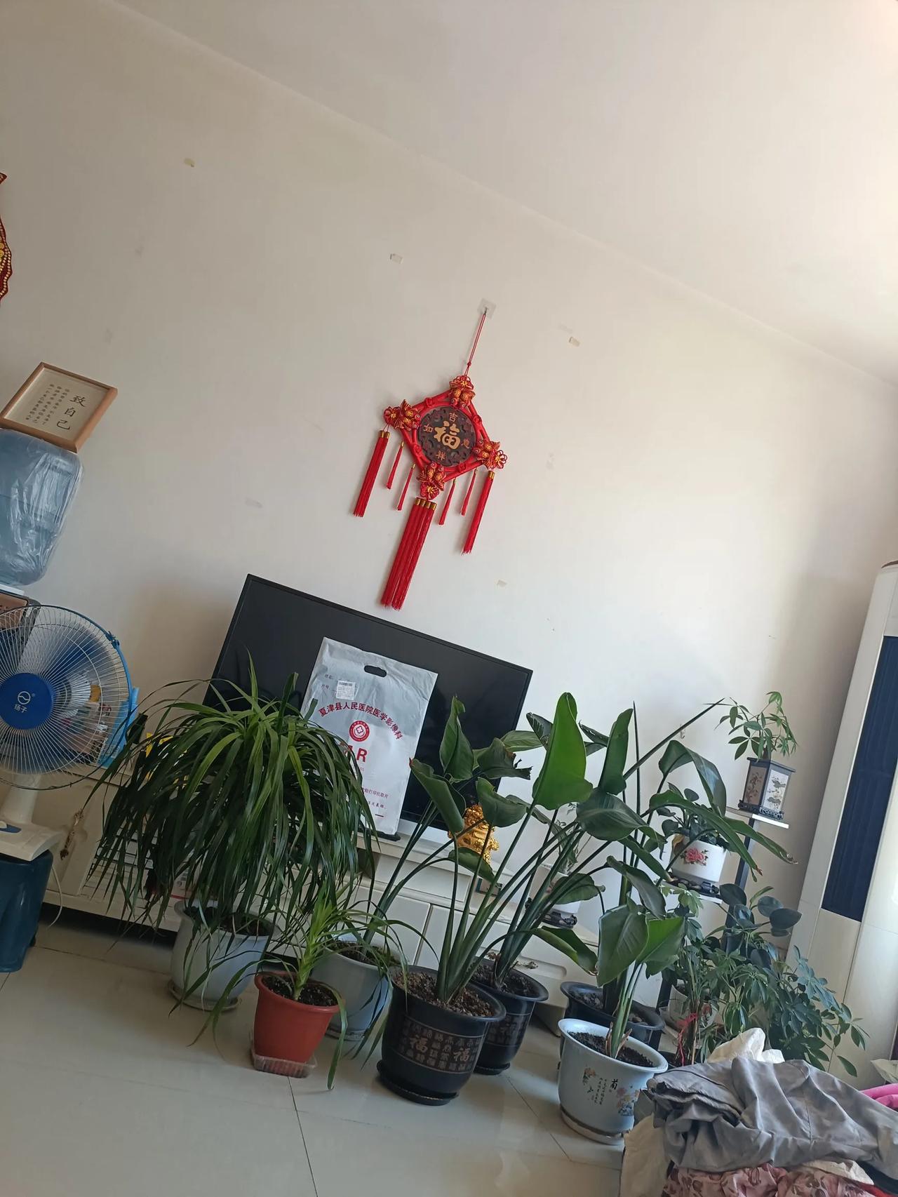 婆婆不给带孩子，不出钱不出力，
还天天挑拨离间，
跟他儿子告状，

说我天天在家