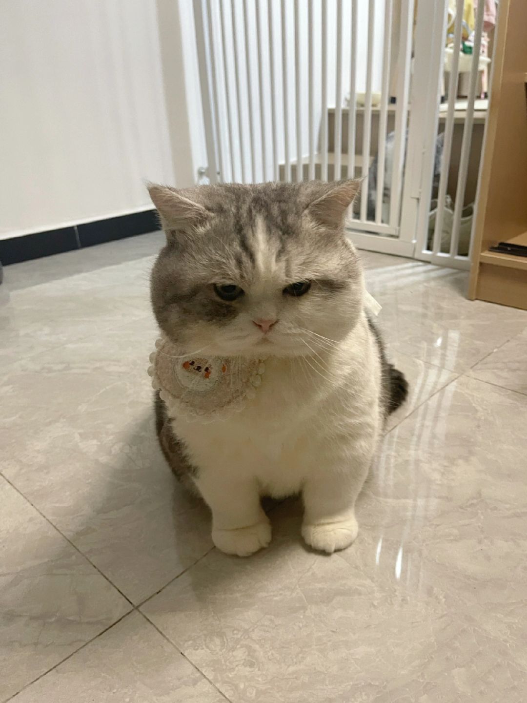 jio太臭 不想亲！