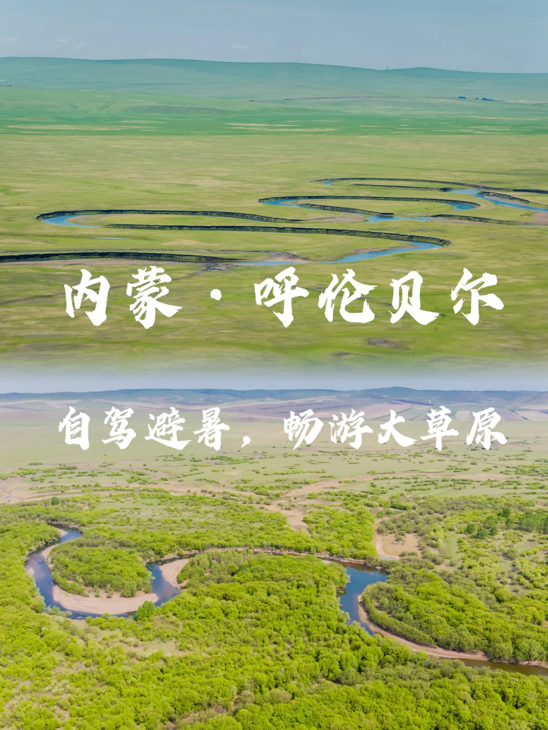 内蒙旅行｜自驾避暑，呼伦贝尔大草原
