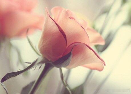 Oops! I lost my mobile number! Could I h