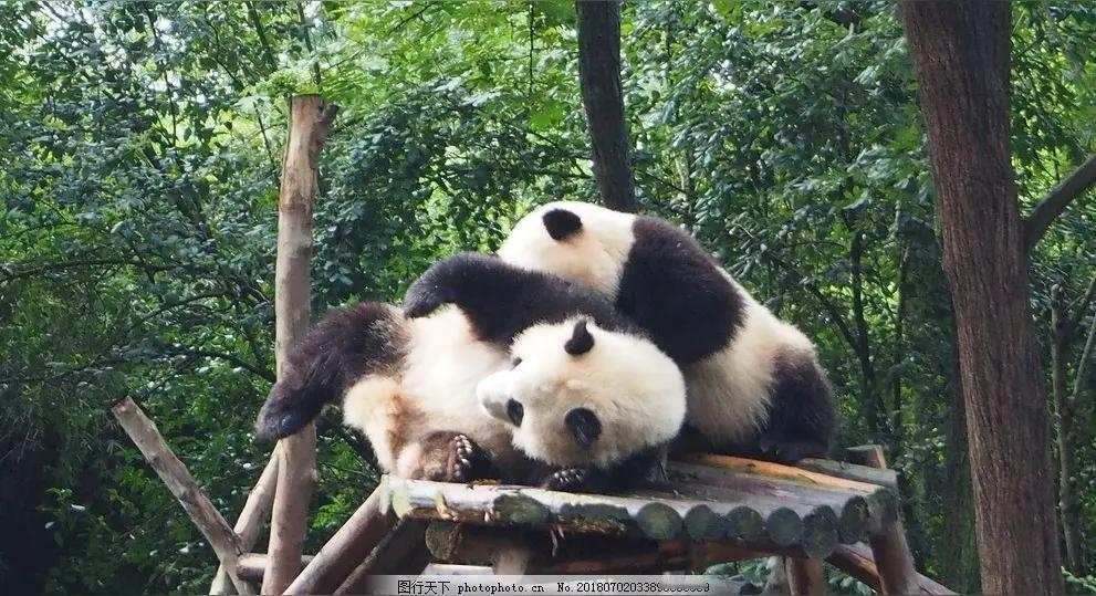 别只知道火锅熊猫！四川才是中国深藏不露的战略底牌
 
说起四川，大家第一反应都是