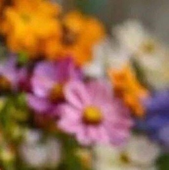 阳光信用 ❤️ 阳光信用❤️ 每日一善 世上没有白费的努力，也没有碰巧的成功，一