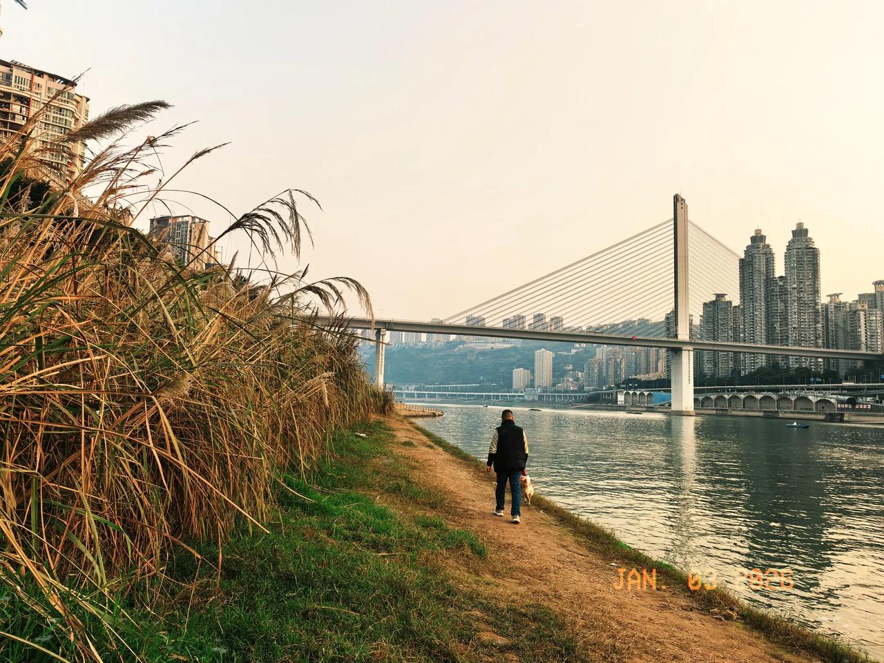 老公有点后悔打疱疹疫苗了。

打了第一针疱疹疫苗，第二天副作用就出来，还挺猛烈的