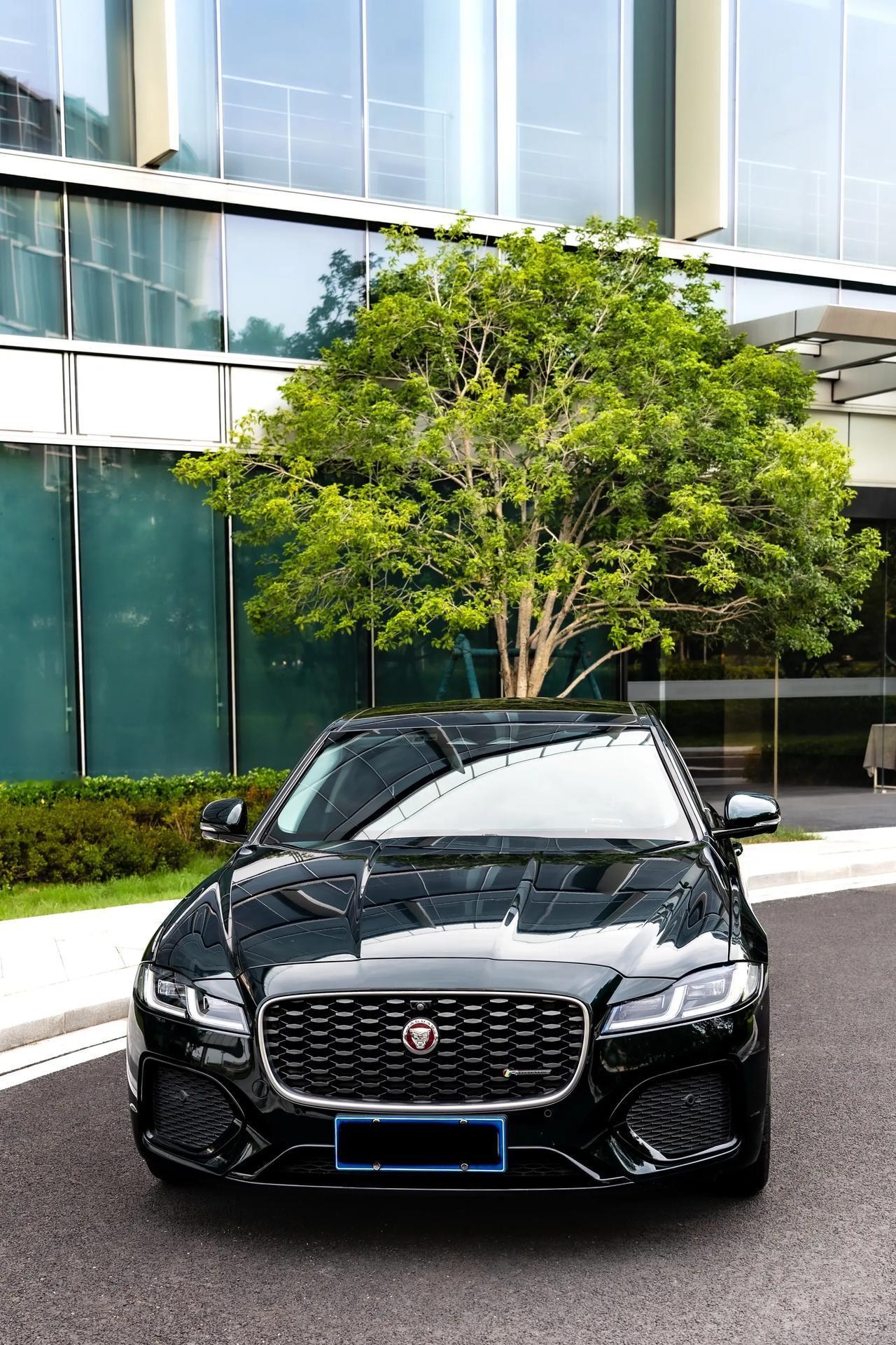 大家好，我是一名二手豪华车爱好者，最近在看二手捷豹XFL，前后对比了不同年款的车