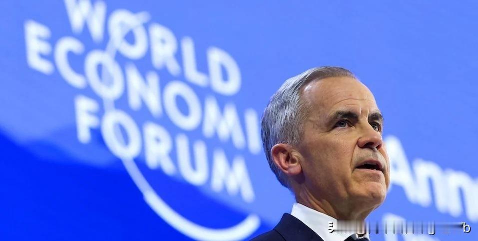 加拿大总理达沃斯发言引发共鸣：西方传统盟友为何开始集体启动“B计划”？

202