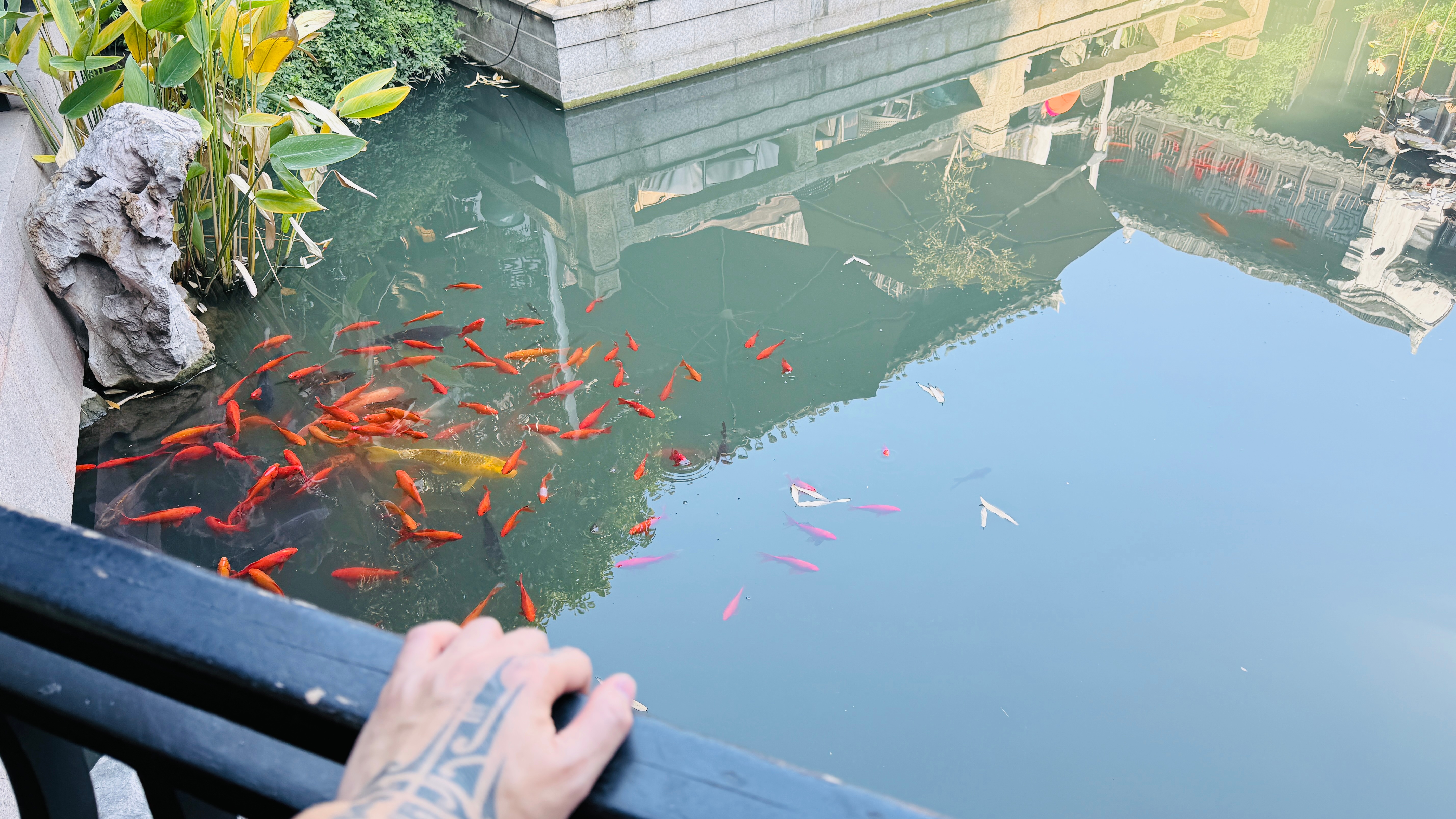 深刻解析为何难以做到严格止损在交易市场中，“严格止损”是每位投资者入场所接受的第