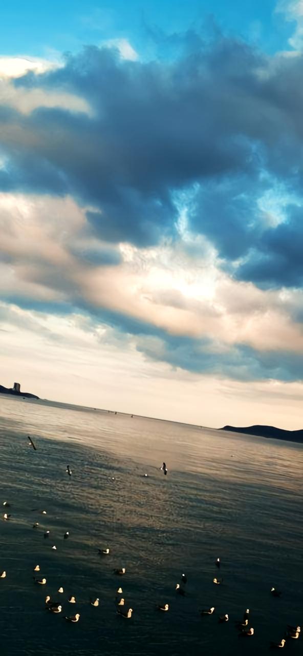 1月11日，山东威海突降特大暴雪，橙色预警拉响，当地雪景瞬间火遍网络，引发全国关