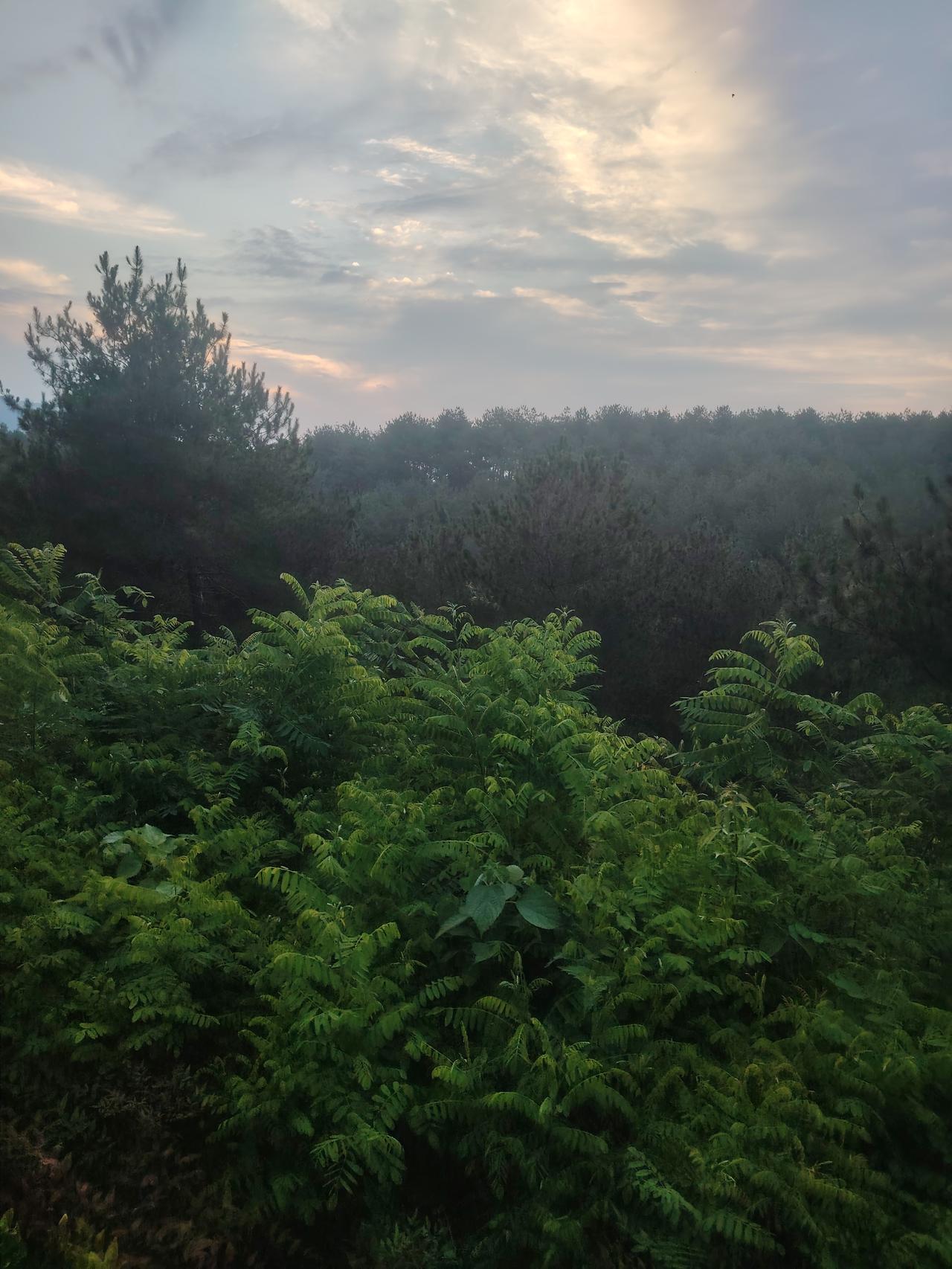 人之贵，贵在有亲有友有情谊
 
天之高，高在有风有雨有太阳； 地之灵，灵在有山有