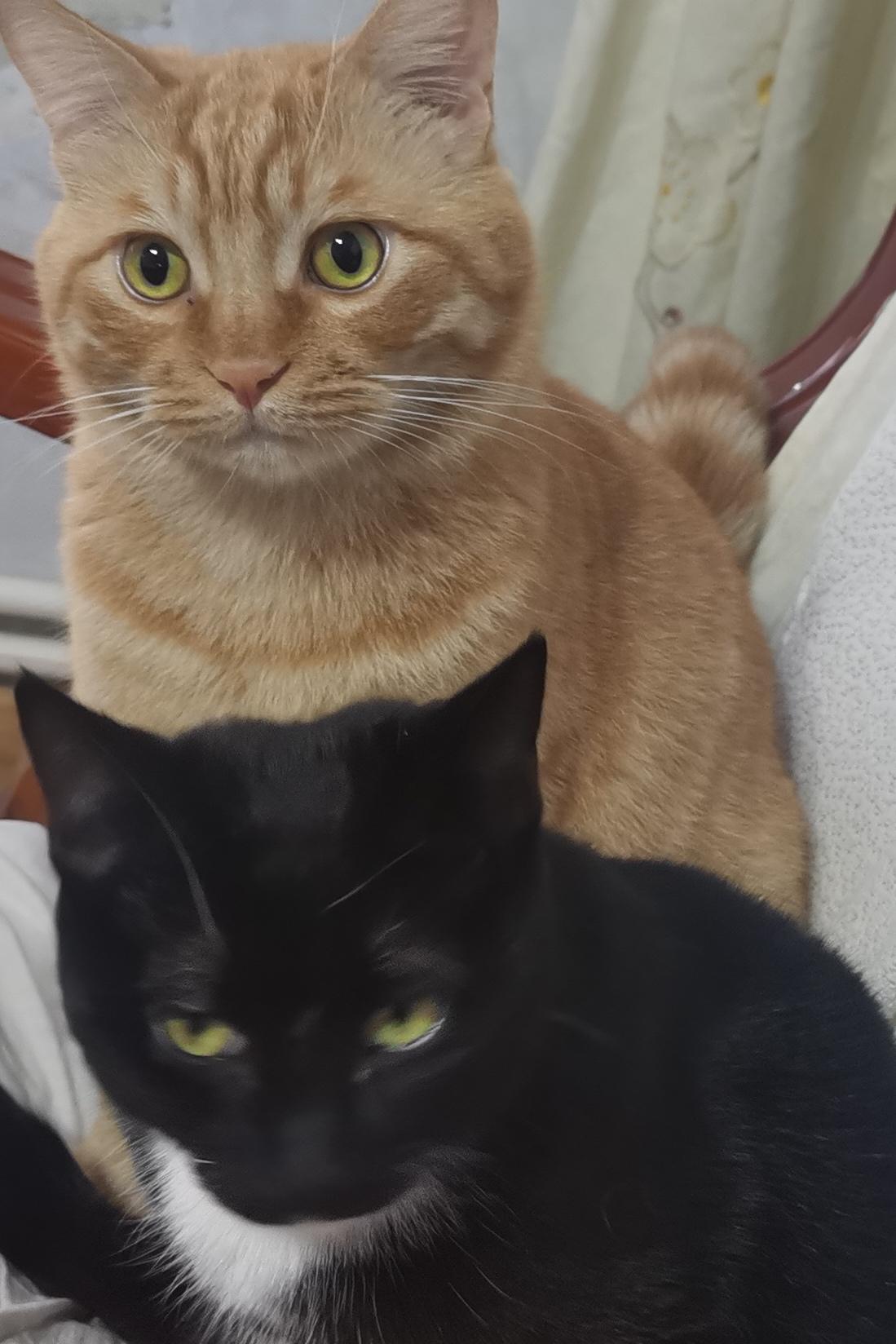 美以联合军打伊朗让我非常生气，为什么？这还需要问嘛，他们没打之前，打不打关我屁事