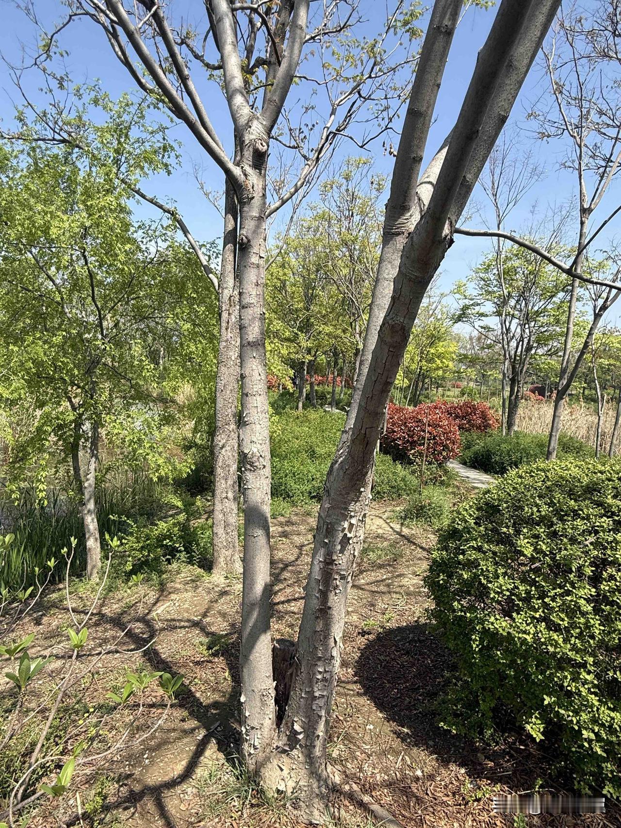 【小对联】
上：功力；
下：……？