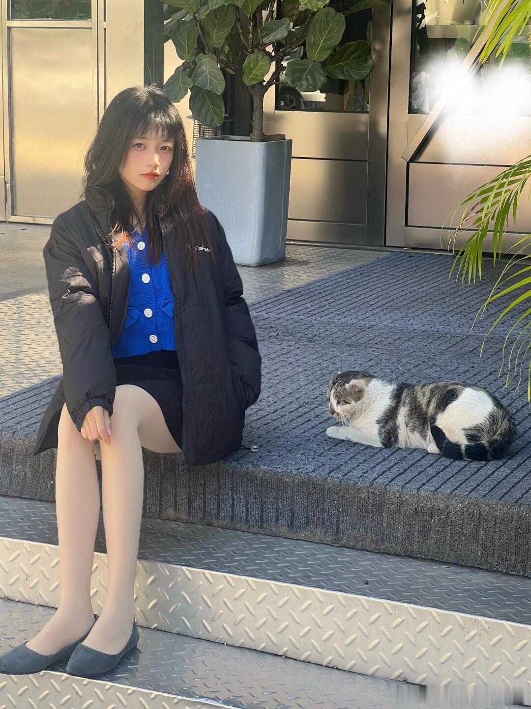 撸猫的少女～ 