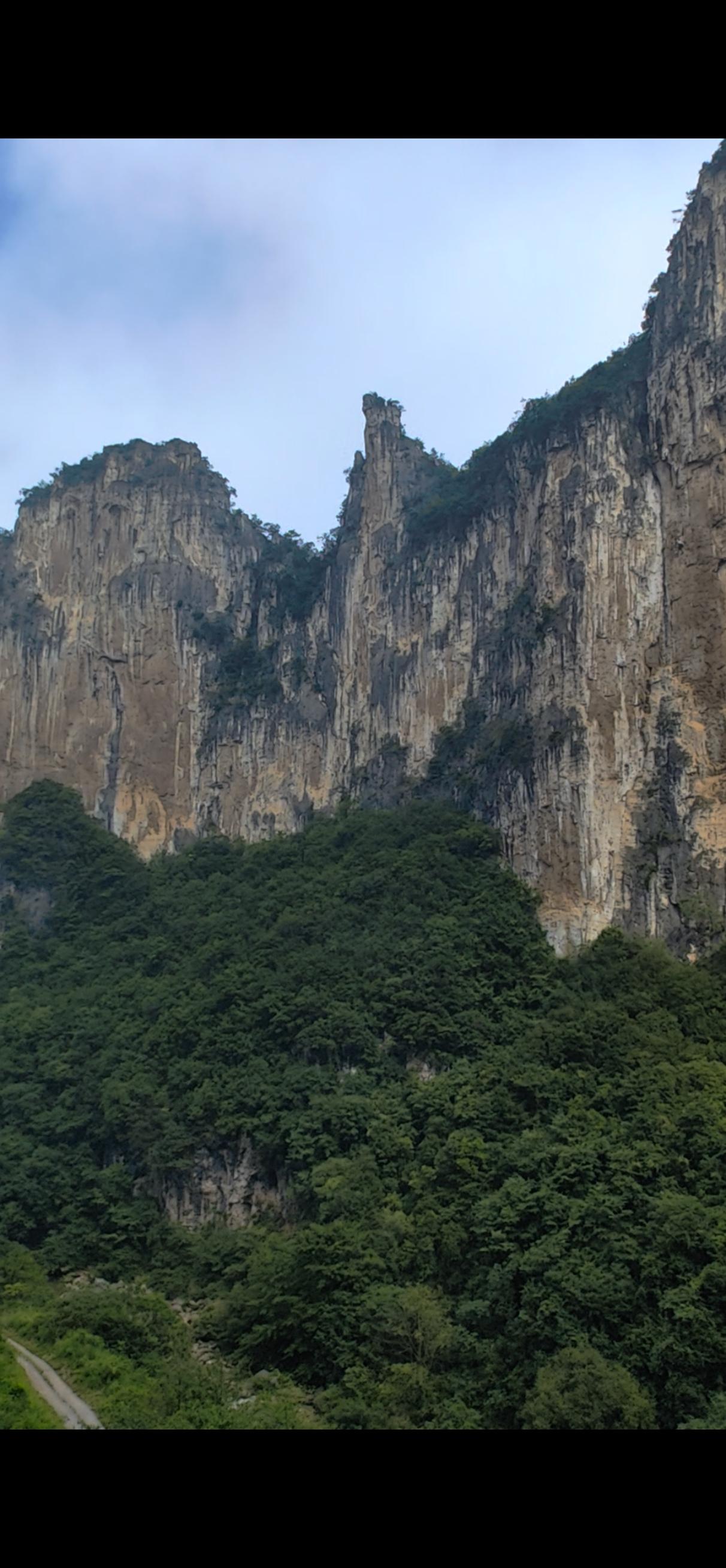 是的，他们总是有不切实际的幻想。[作揖]
