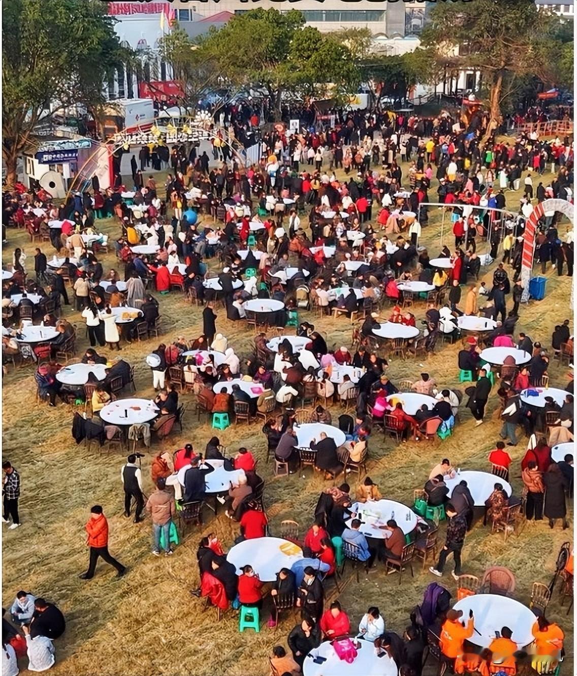 说实话，我不会特意跑去农村吃刨猪汤。

虽然知道那氛围热闹，新鲜猪肉炖的汤也香，