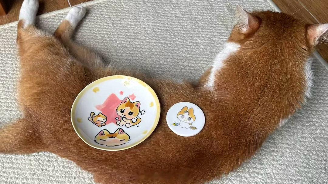 还有来自友友的馈赠ヽ( ´▽｀)ノ什么时候才轮到我去画盘子.. 
