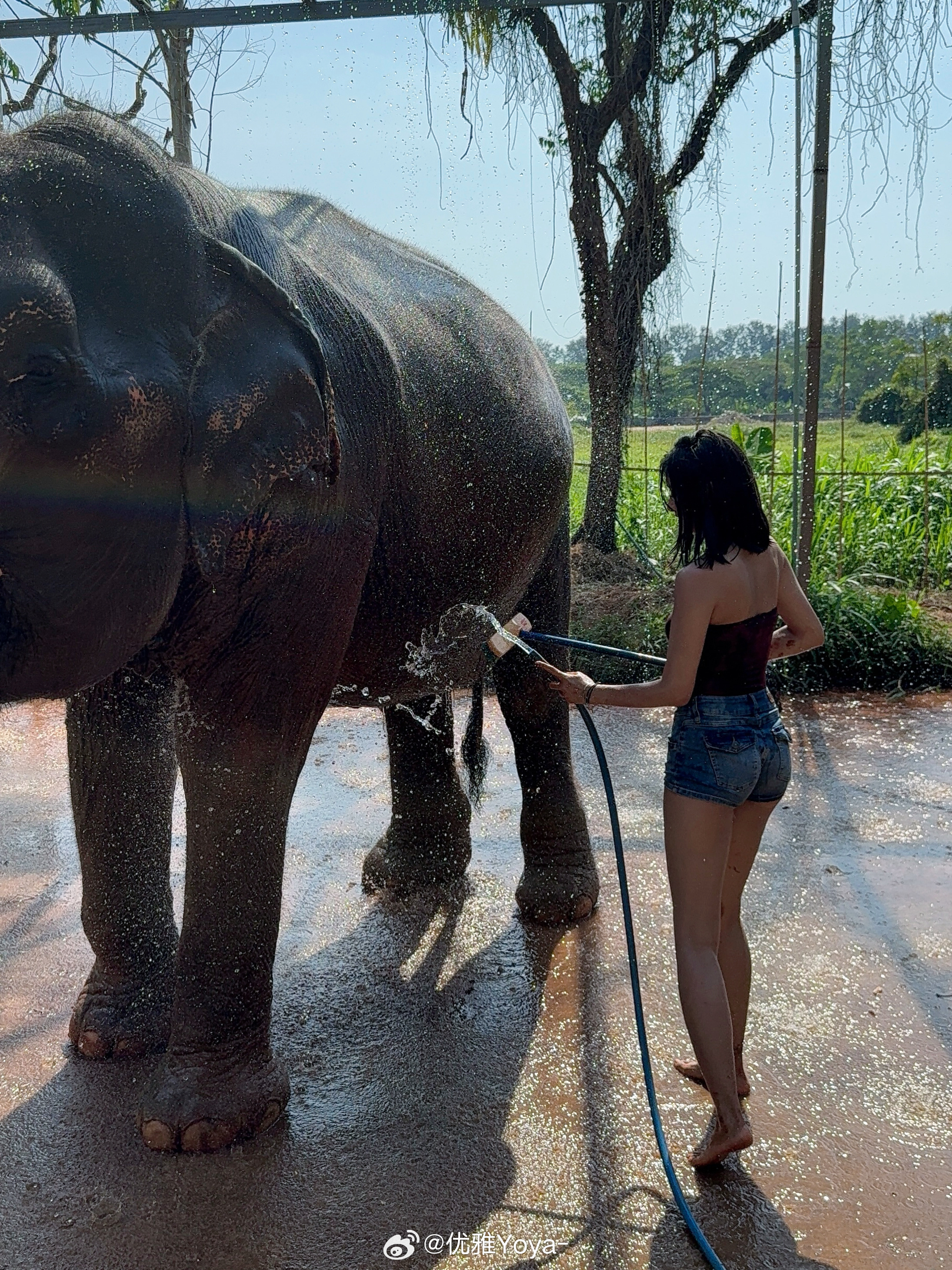 大象短发普吉岛 是搓澡阿姨 