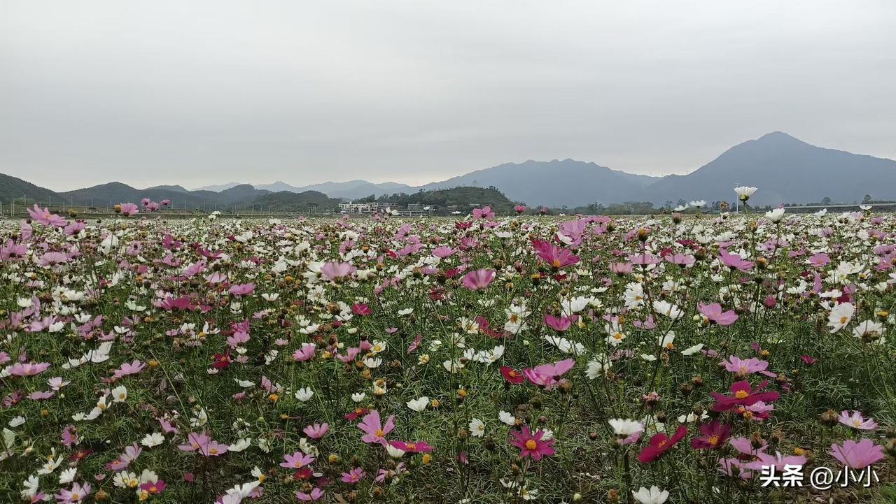 女人没有好丈夫，再优秀也是满身伤痕
 
女人这一辈子，真的挺不容易的。
 
如果