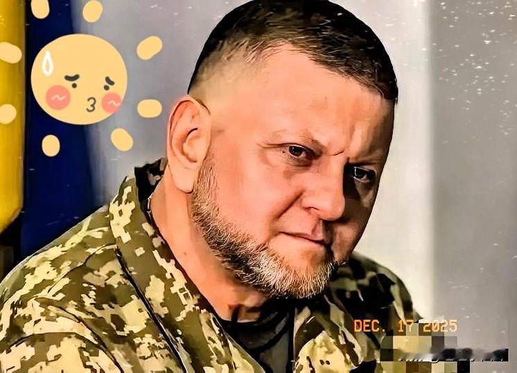 近日，乌克兰前总司令扎卢日内发出重磅警告：一旦俄乌停火，大批返乡士兵或将成为引爆