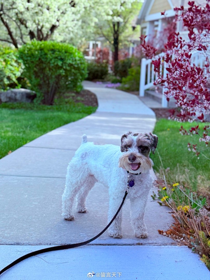 吉哥今晨 乖妈摄影 