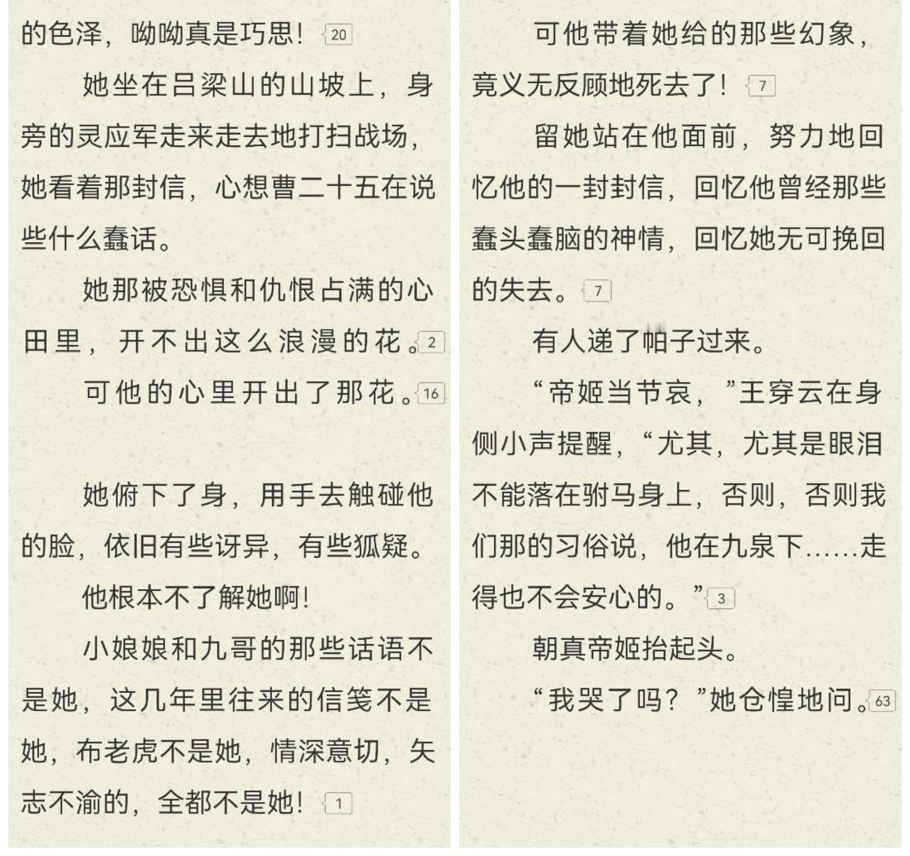 她坐在吕梁山的山坡上，身旁的灵应军走来走去地打扫战场，她看着那封信，心想曹二十五