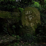 米雁逛逛体育