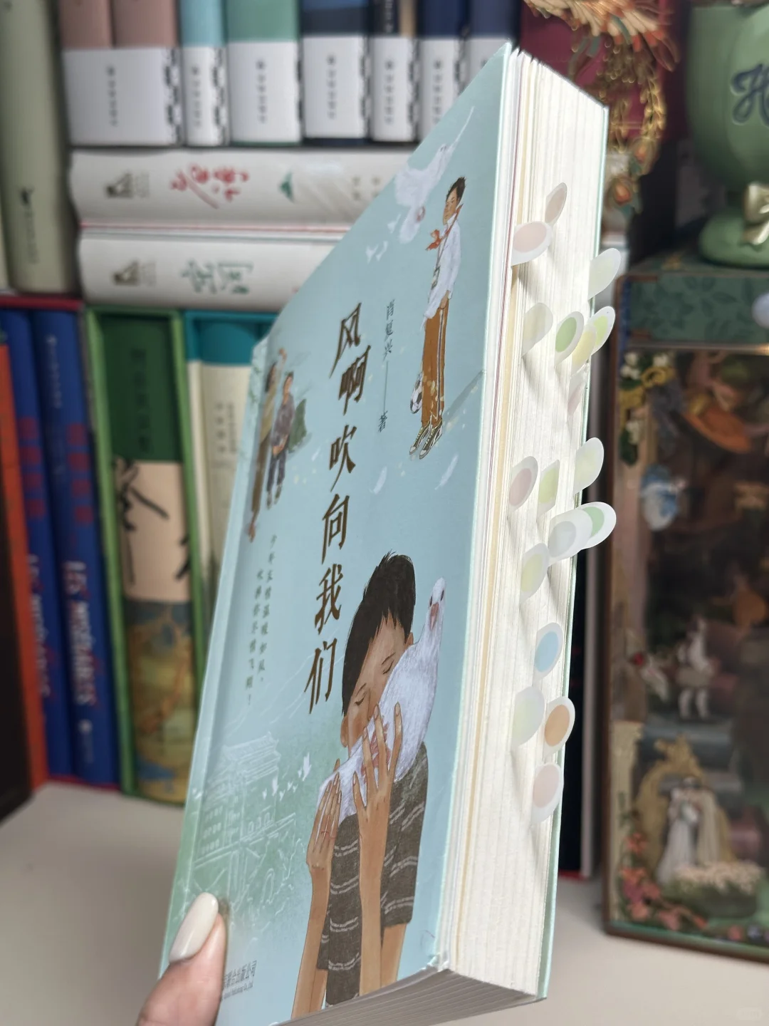 治愈🌱“小鸟在前面带路，风啊吹向我们~”