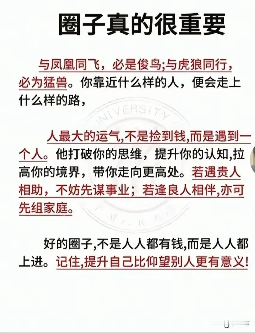 圈子的力量不容小觑。就像《三十岁，才刚刚开始》的作者，年纪轻轻就成为百万畅销书作