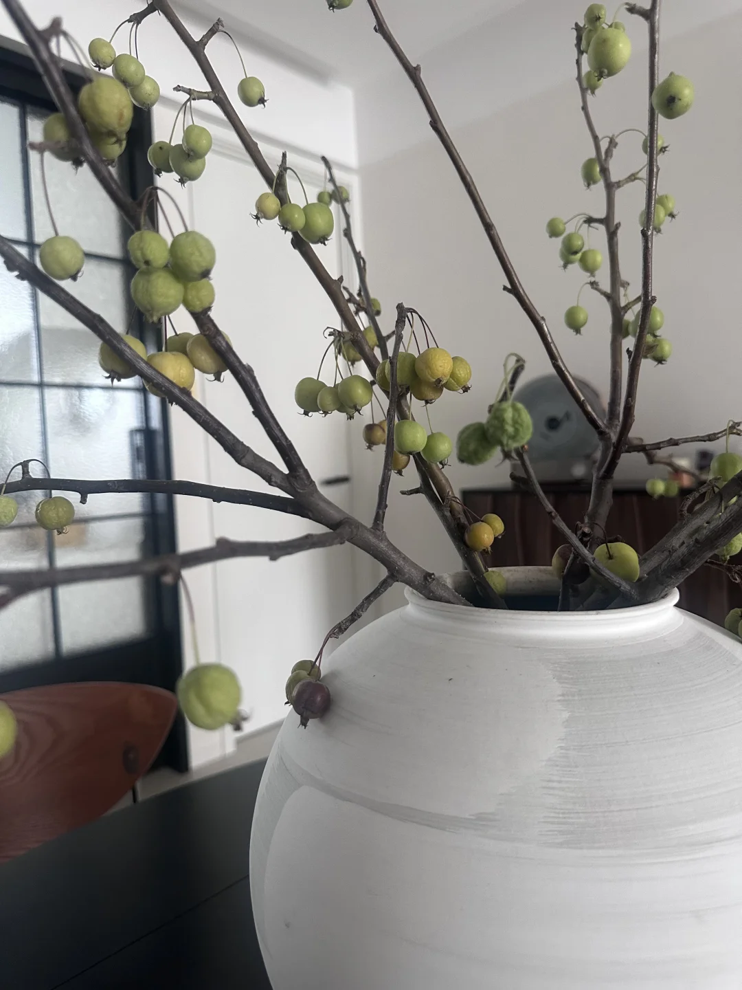 养了一个多月的小苹果从青苹果变成了黄苹果