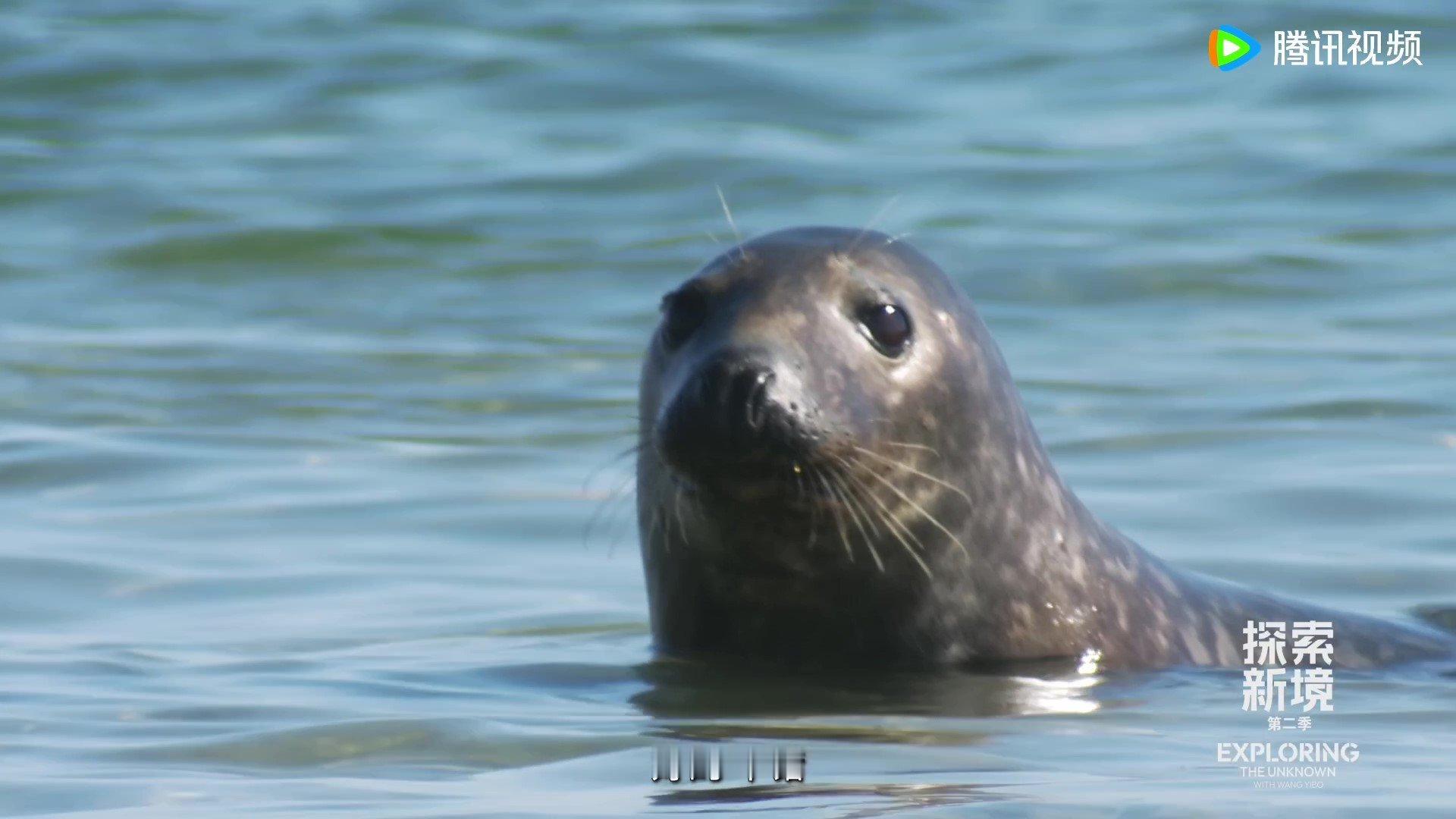 整个生物圈都在打卡王一博探索新境2欧皇附体！钓帝王鲑一钓一个准，首攀深水抱石线路