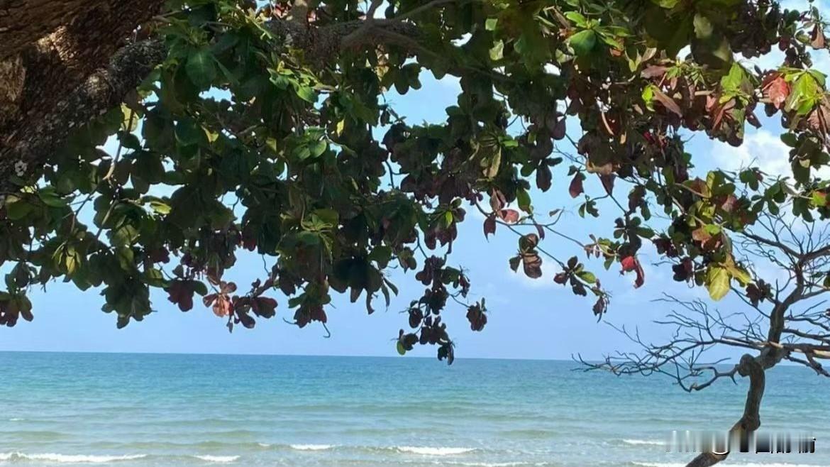 上联：山径摘花春酿酒
下联：树枝挂果夏尝鲜
        （下联是原创）友友请