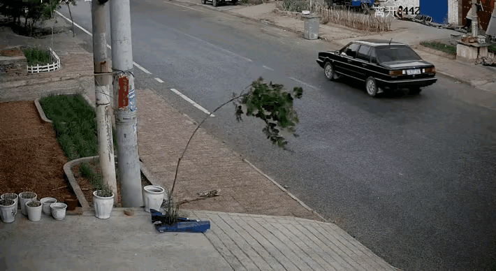 风中的坚强，是小生命成长的洗礼。