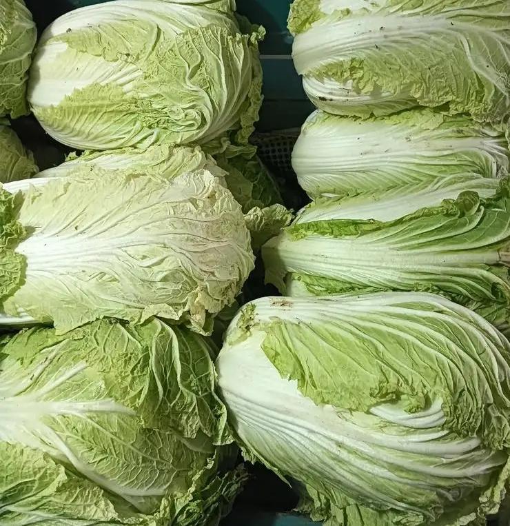 马上要下雪啦，赶紧买点大白菜
可以做辣白菜了，冬天手撕这吃可好吃了，还可以做泡菜