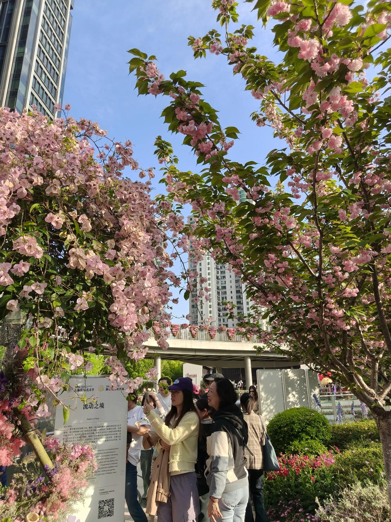 2026上海花卉节——第一站
繁花🌸静安 花漾🌸生活

第二波照片分享来喽…