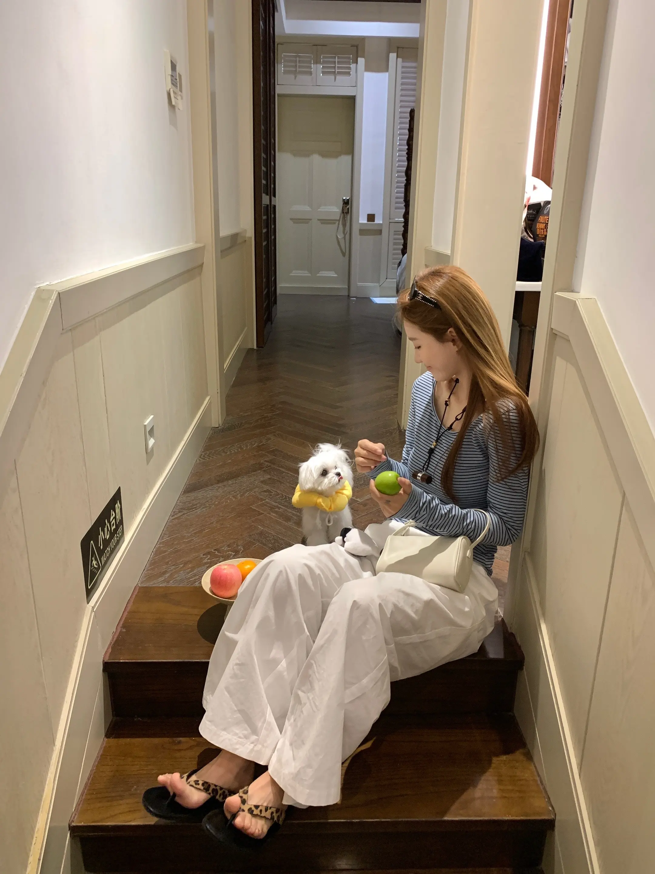 我和曲奇🍪。