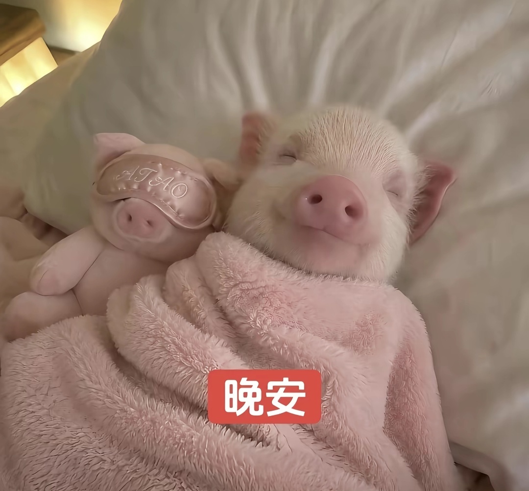 分享图片 ​​​