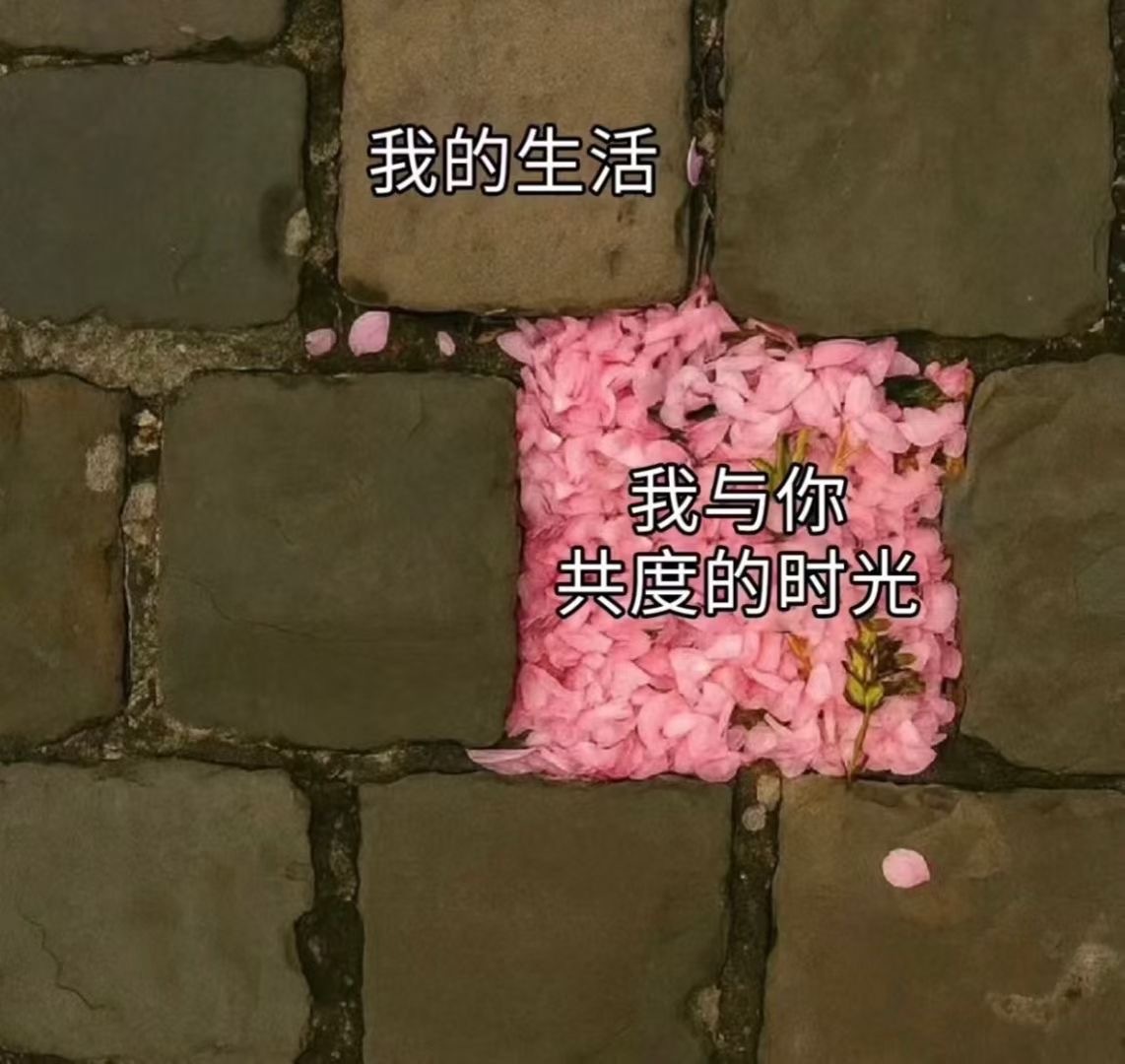 我们 ​​​