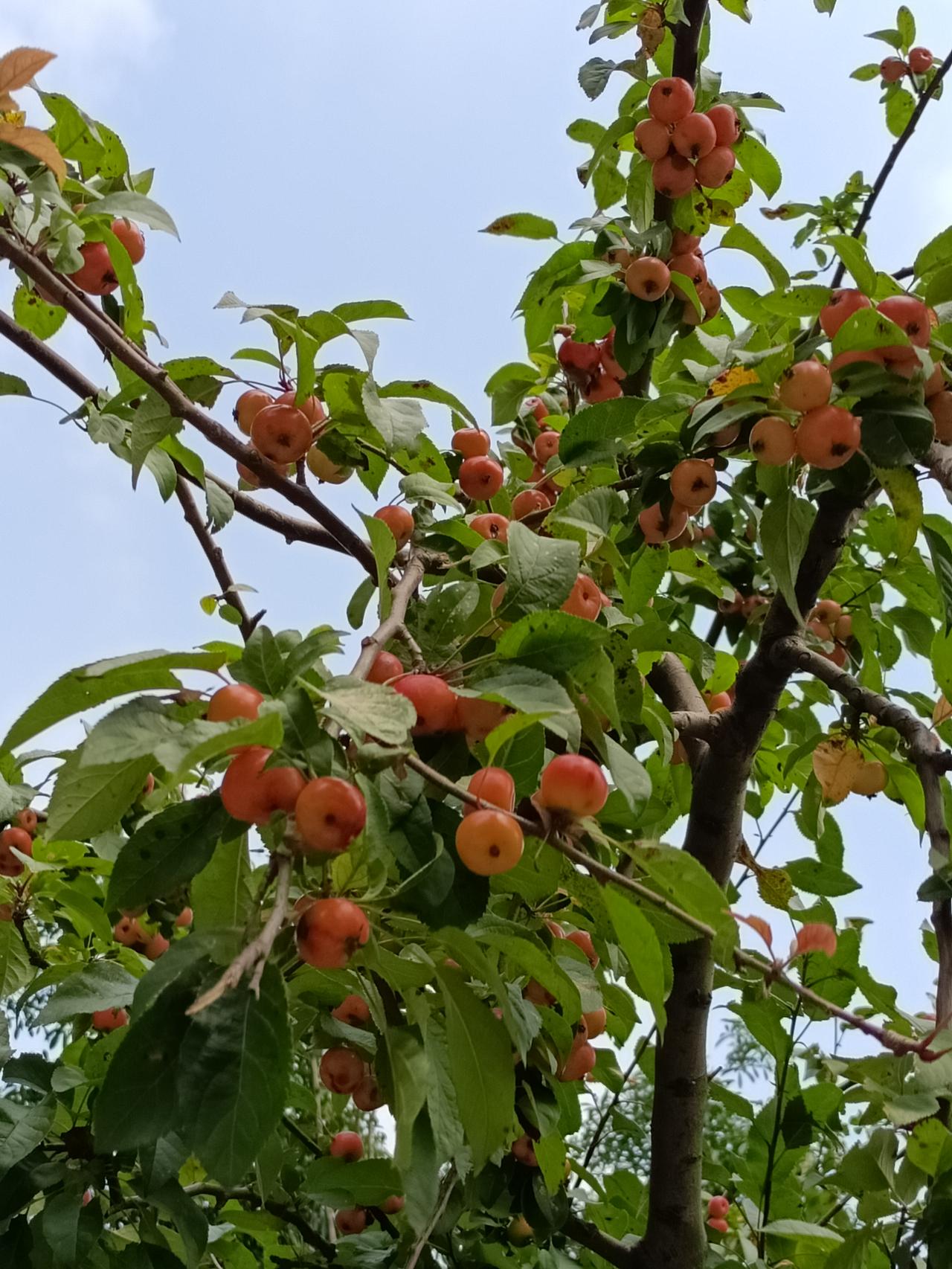 @豆包 帮我点评
