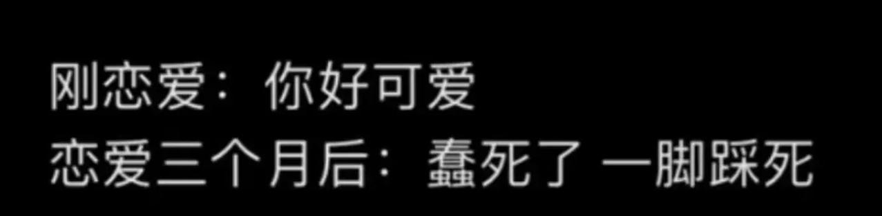 就是！笨的要死