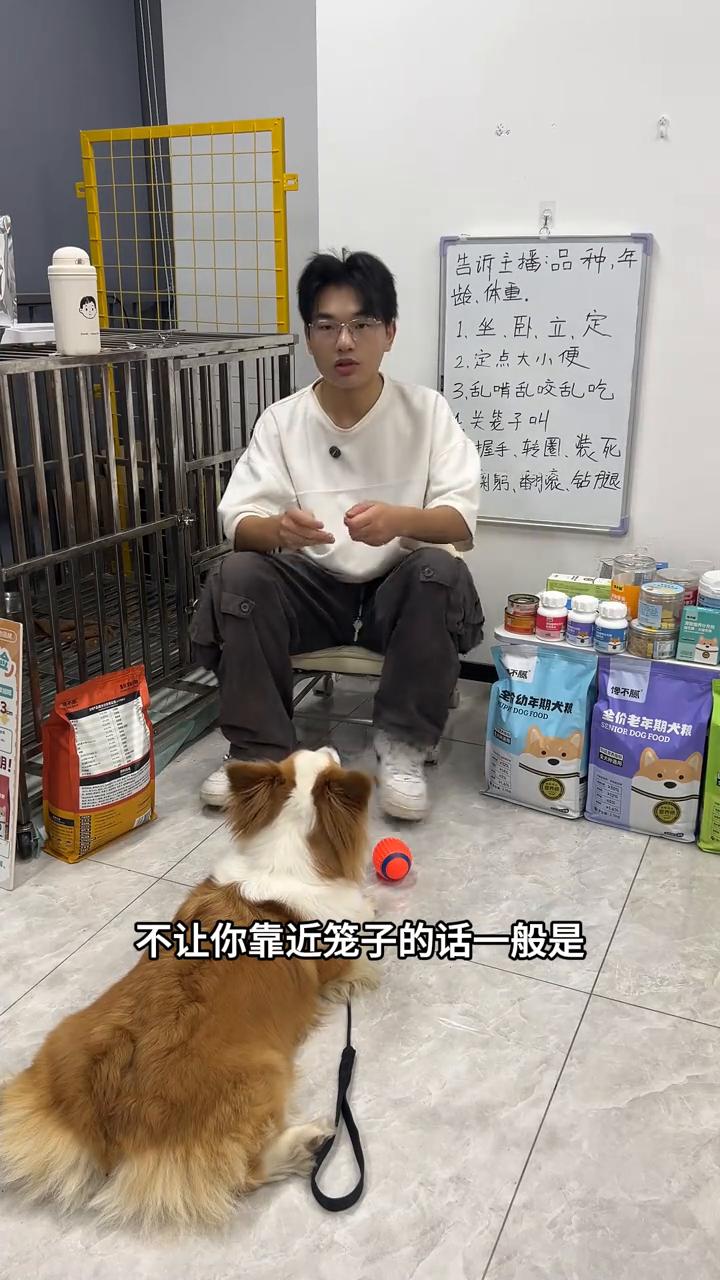 狗狗害怕主人怎么办？
小狗可能小时候给它打过，还有小时候没有跟它做一些亲密的训练