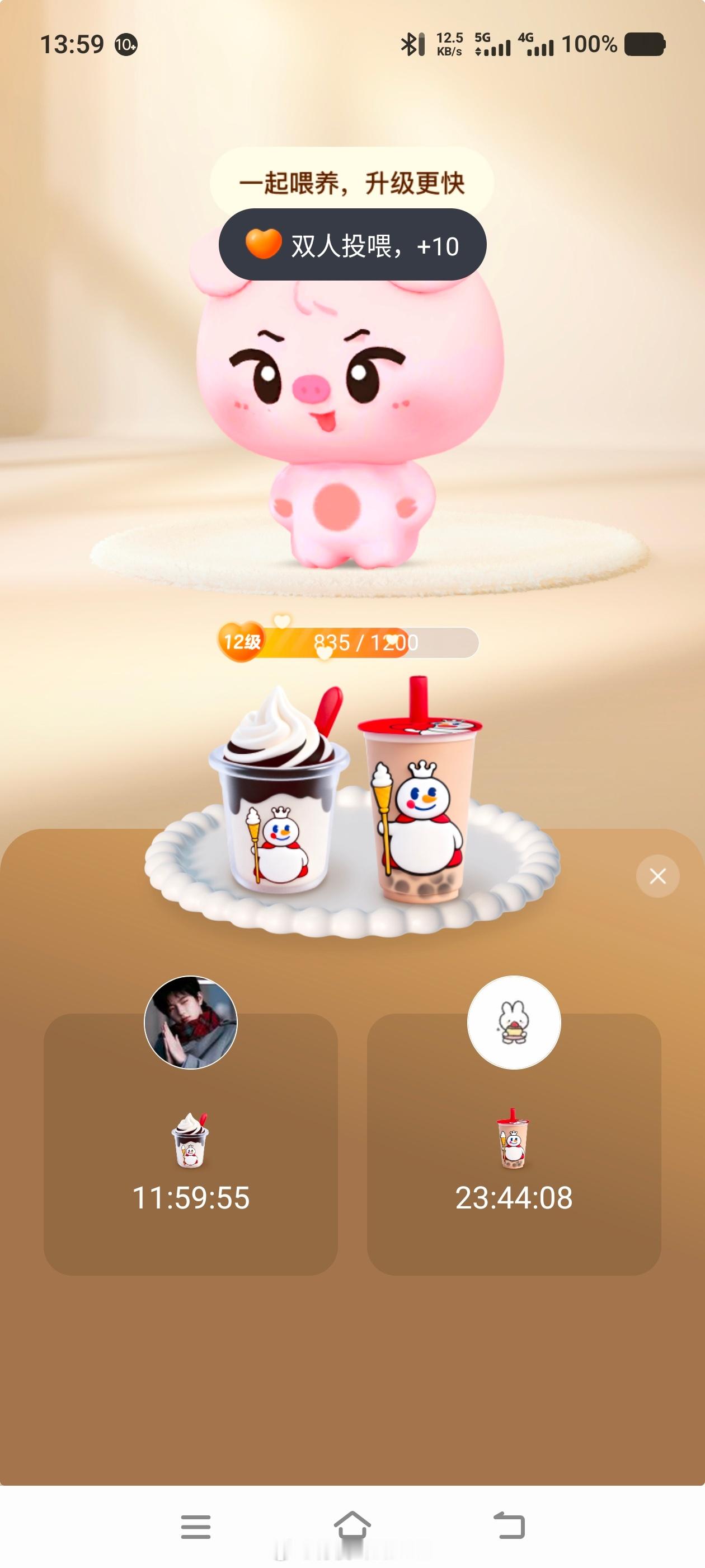 给小吉猪喝蜜雪冰城 