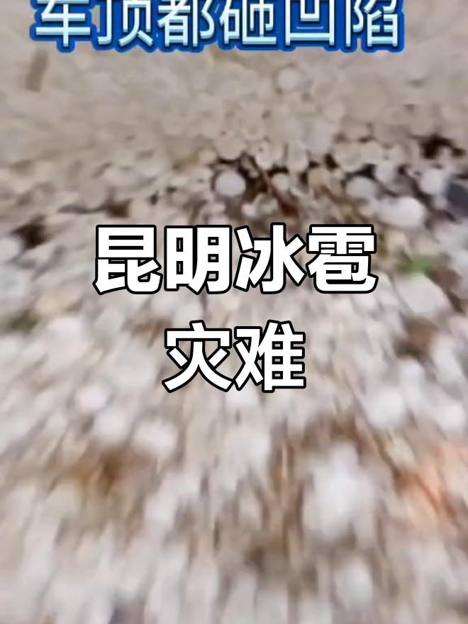 4月24日晚，昆明突然下起鸡蛋大的冰雹，砸得噼里啪啦响！高速路短短10分钟就积了