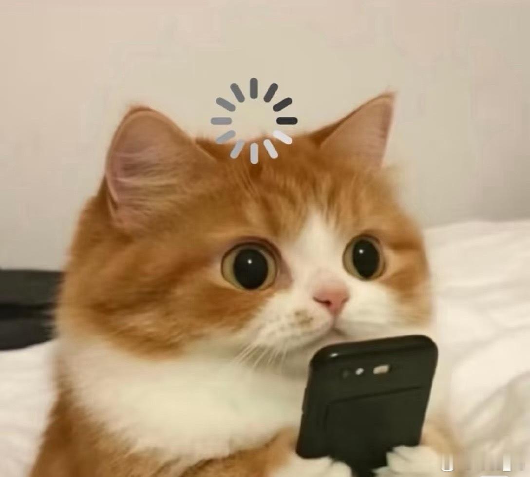 每次打开我就这样 