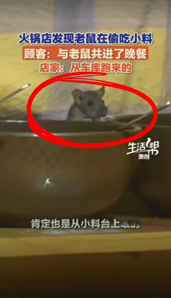 顾客和老鼠🐀🐀“共进晚餐 ”，没听说过吧，就是这么惊人：济南周女士和朋友去吃